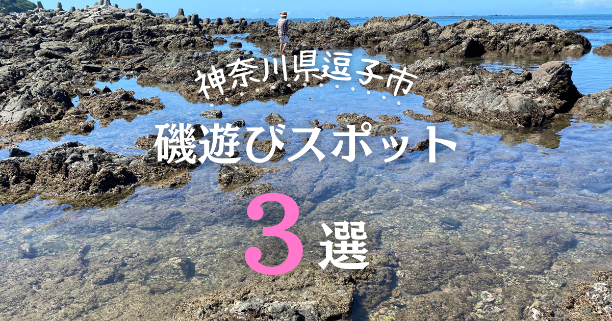 地元民がこっそり教える 逗子エリアのおすすめ磯遊びスポット３選 そとでこそだて ソトコソ